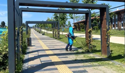 Kocaeli'de Gebze Millet Bahçesi yaza hazırlanıyor