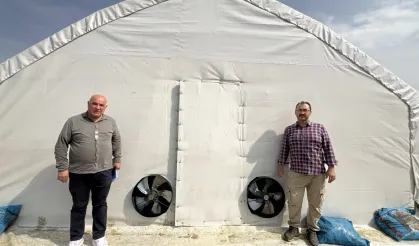 Kocaeli'de kırsal kalkınmaya mantar üretim çadırı katkısı