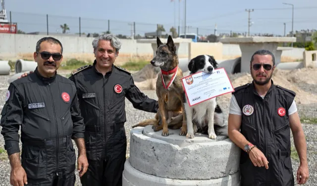 Ares ve Rex, uluslararası sınavda zirvede