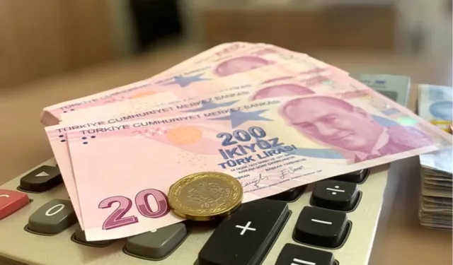 İlk ödemeler Mayıs'ta annelerin hesabında