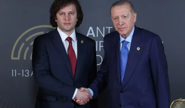 Cumhurbaşkanı Erdoğan, Gürcistan Başbakanı Kobakhidze ile görüştü