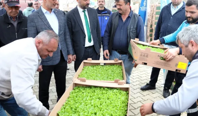 Kocaeli'de Gebzeli çiftçilere 500 bin fide dağıtıldı