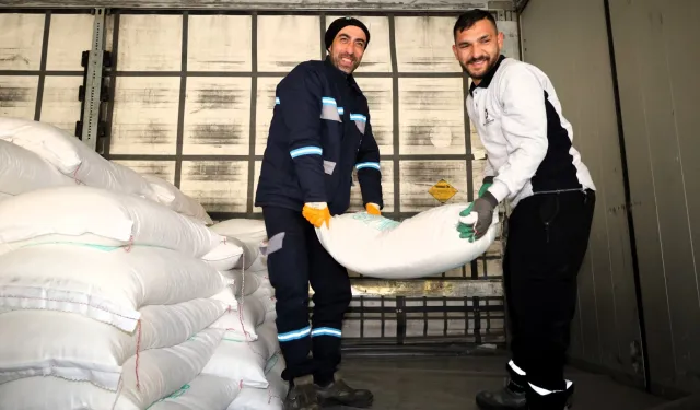 Kocaeli'den arıcılara yüzde 50 hibeli arı yemi