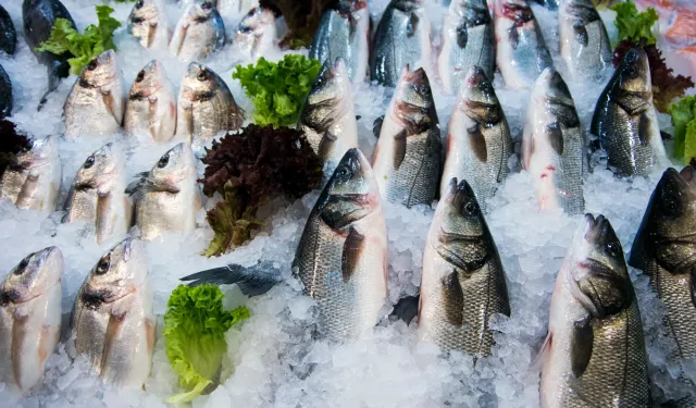 Su ürünleri ihracatının yüzde 47'si Ege'den yapıldı