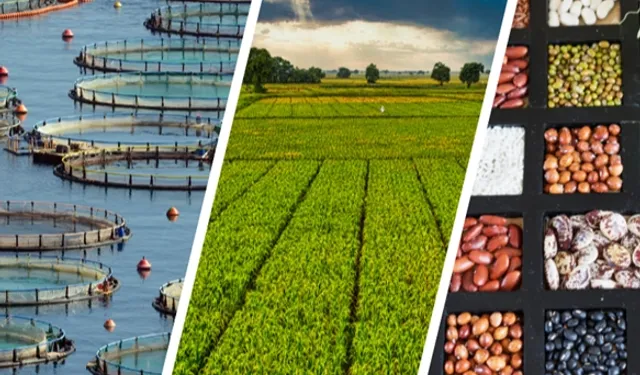 255 milyon lira çiftçilerin hesabında