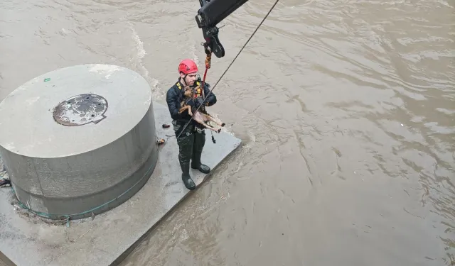 Derede köpek kurtarma operasyonu