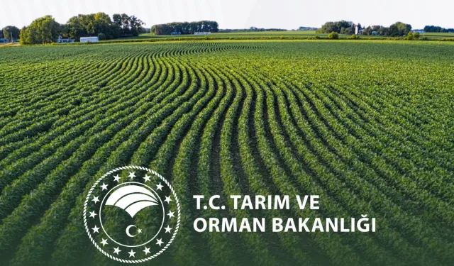 Yeni yılda kırsal kalkınmada destekler artıyor