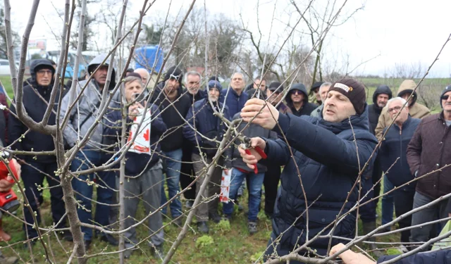İzmit'te üreticilere uygulamalı budama eğitimi