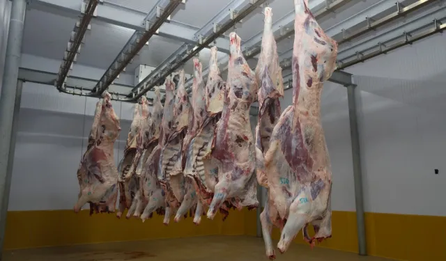 Kocaeli Mezbahası'nda hijyenik ve helal kesim
