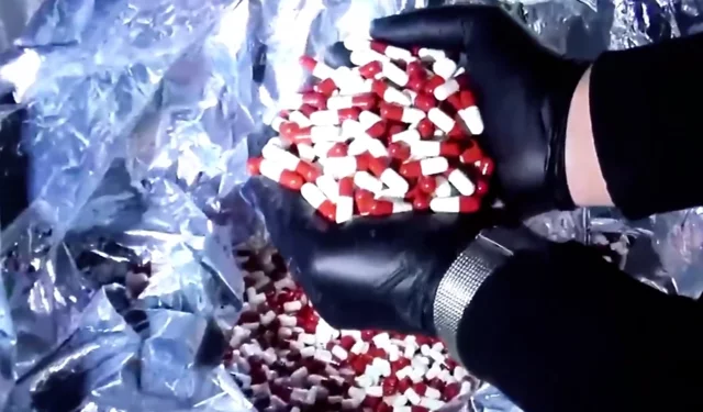 Sınırda ve limanda dev operasyon! 828 milyon TL'lik 484 kilo uyuşturucu ele geçirildi