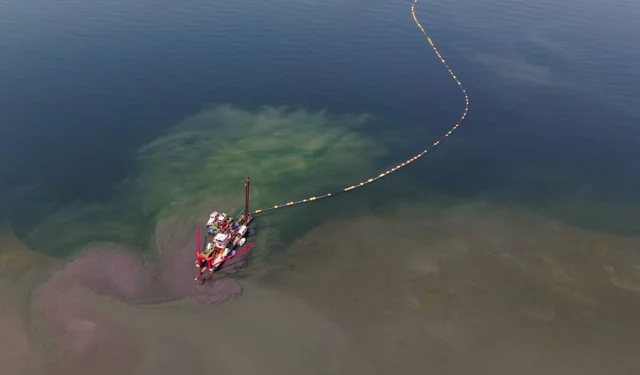 Kocaeli'nin çevre projesi deniz canlılarını canlandırdı