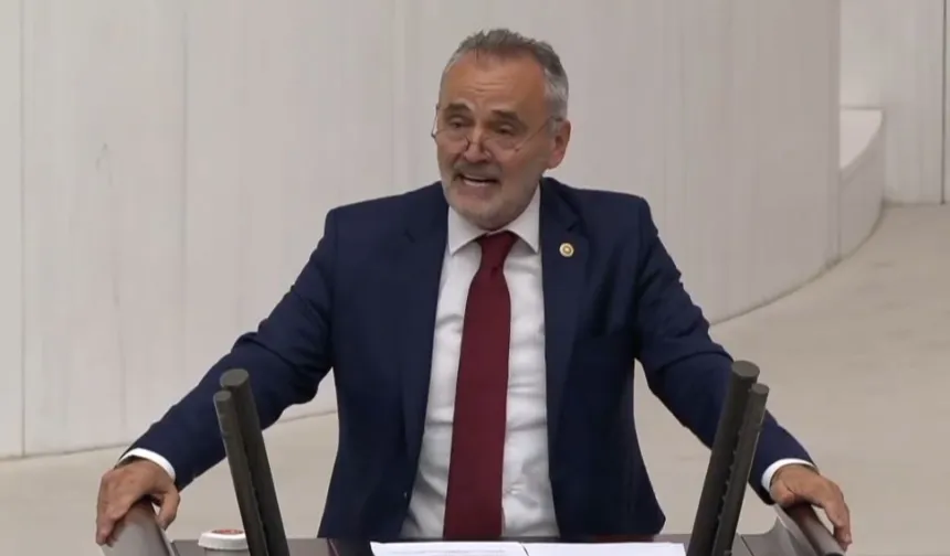Prof. Dr. Mehmet Akalın'a uluslararası görev