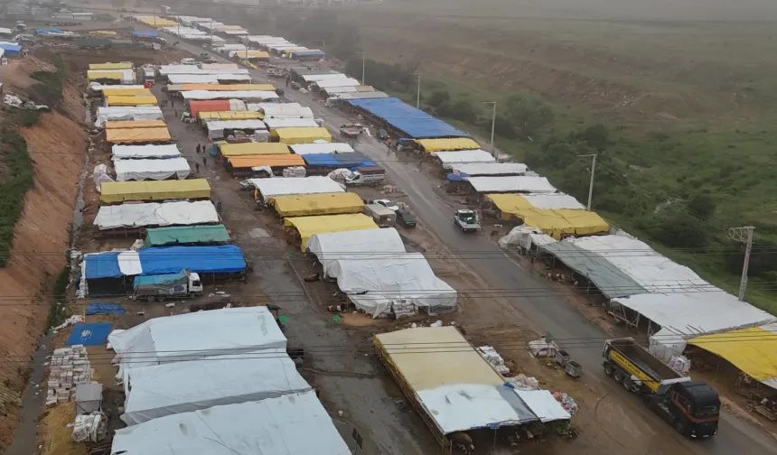 Gebze'de kurban pazarı kuruldu