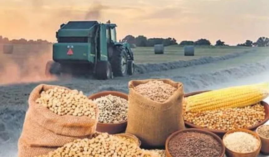 Arpa ve mısır ithalatında tarife kontenjanı güncellendi