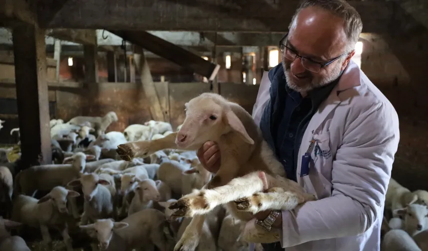 Kocaeli'de 2025 'çiftçinin yılı' oldu... 166 milyon TL destek sağlandı