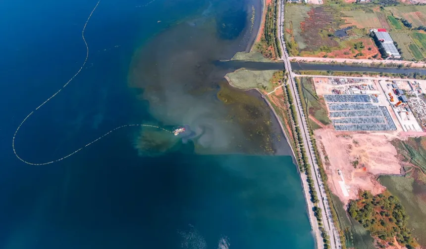 İzmit Körfezi'nde deniz temizleniyor, ekosistem güçleniyor