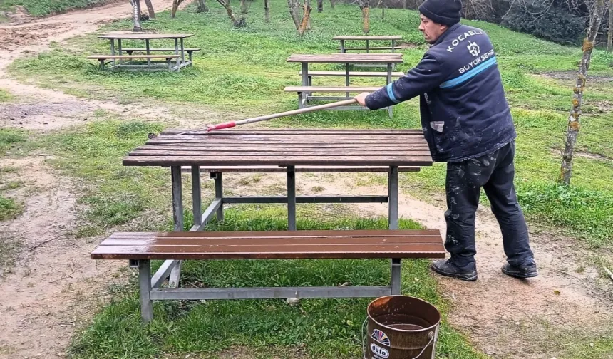 Gebze Gaziler Dağı Tabiat Parkı'na bakım