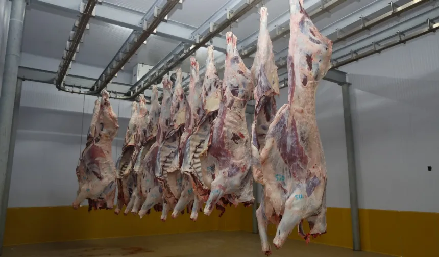 Kocaeli Mezbahası'nda hijyenik ve helal kesim