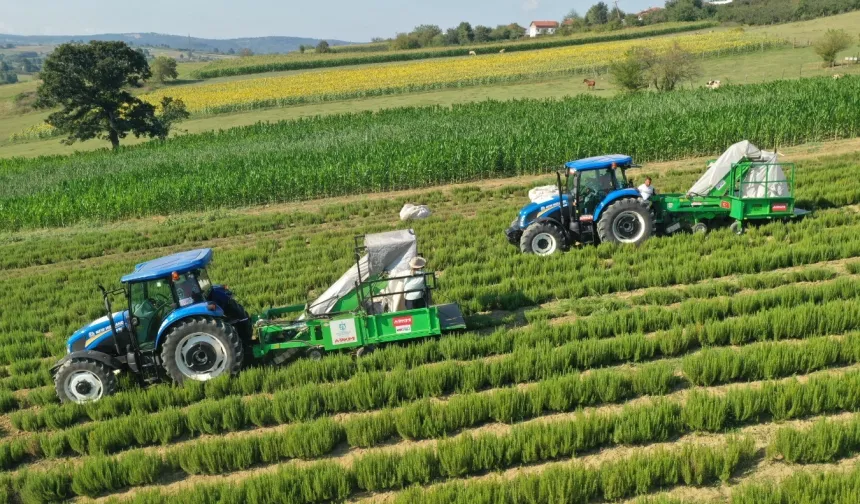 Kocaeli'de kırsal üretimde Büyükşehir'in izi var