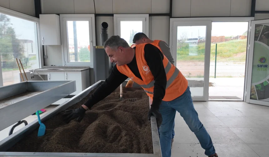 Çayırova'da kompost üretim tesisi toprağa can oluyor
