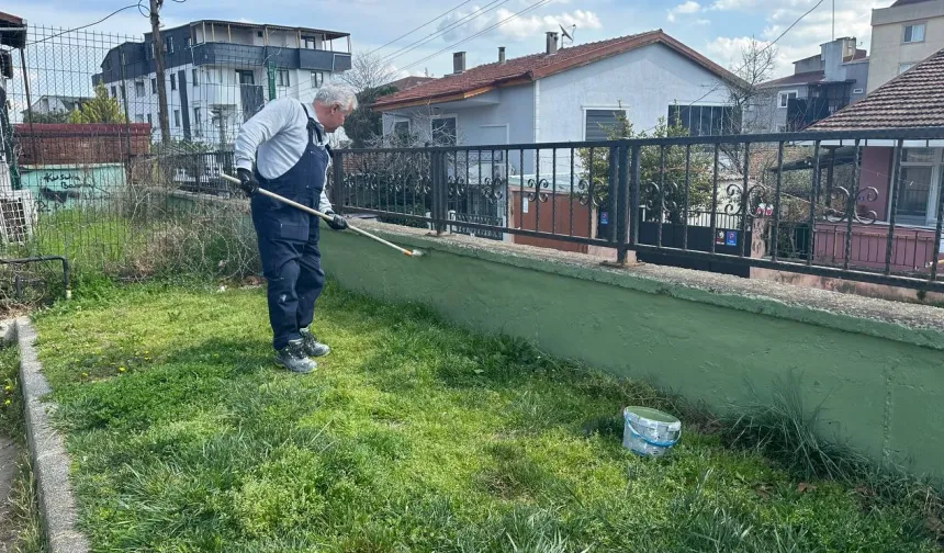 Çayırova'daki parkların duvarlarında bakım çalışması