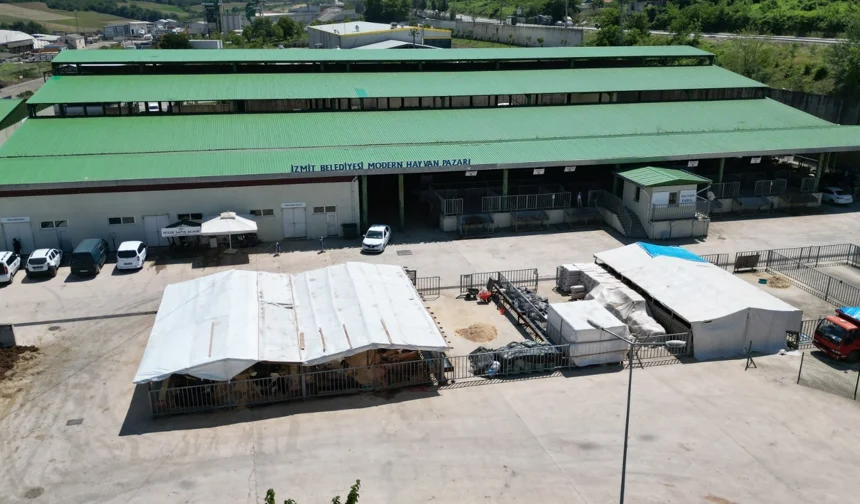 Kurban Bayramı öncesi İzmit'te alanlar tahsis ediliyor