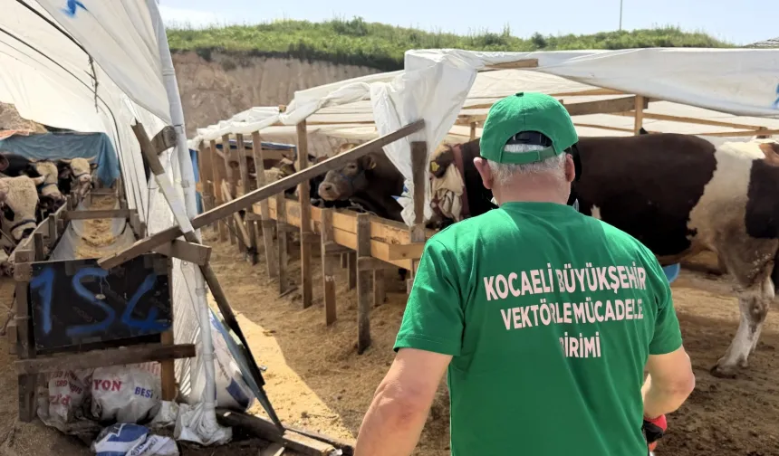 Kocaeli'de 4 ilçede kurban pazarları ilaçlanıyor