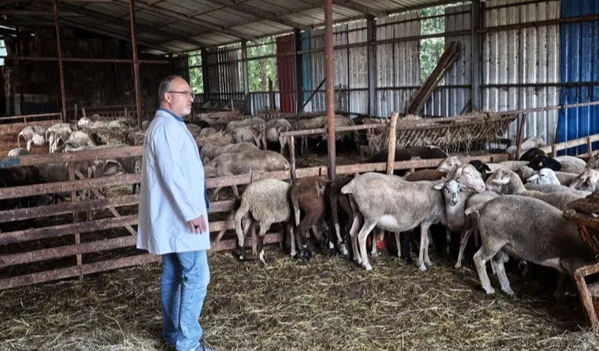 Kocaeli'nde hayvancılığa bütüncül destek