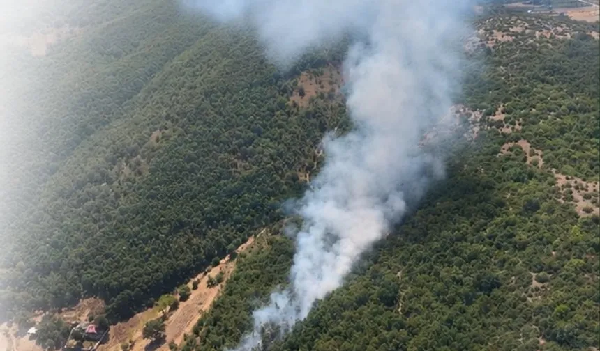 Bursa Kestel ve Harmancık'ta orman yangını... Havadan ve karadan müdahale sürüyor