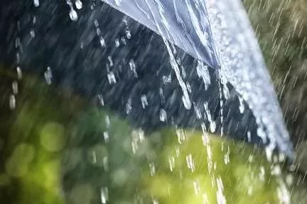 Meteoroloji'den kuvvetli yağış uyarısı! Birçok bölgede sağanak bekleniyor